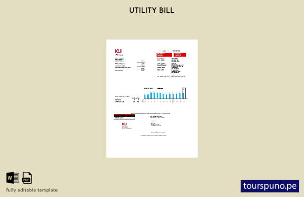 lista para imprimir plantilla de factura de servicios públicos de electricida 18